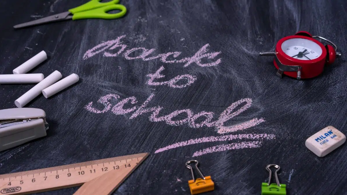 South African School Calendar: When Do the June-July Holidays End and Term 3 Begin? 50 South African School Calendar: When Do the June-July Holidays End and Term 3 Begin?