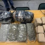 SAPS Destroys Over R400 Million Worth of Drugs in Major Gauteng Bust