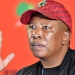 Malema Slams Hate Speech Ruling as 'Grave Distortion'
