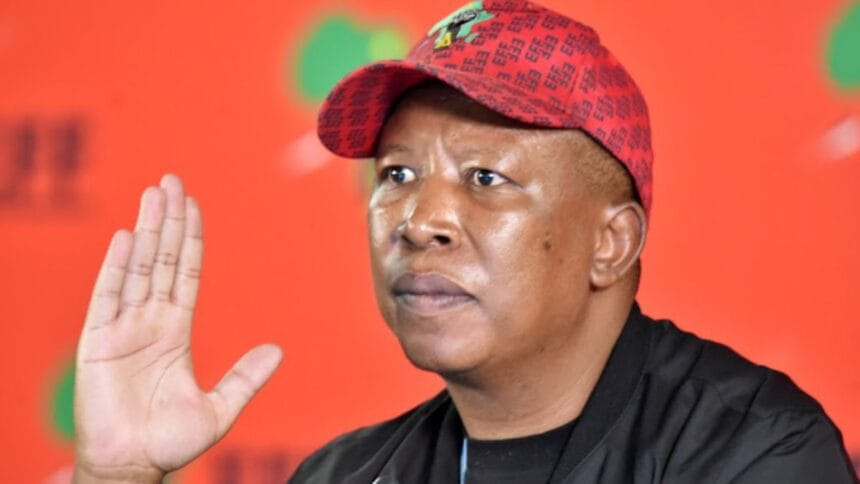 Malema Slams Hate Speech Ruling as 'Grave Distortion'