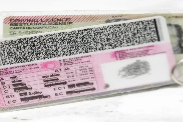 South Africa Poised to Scrap Traditional Driving Licence Cards