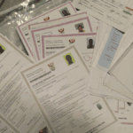 Foreign National Arrested for Selling Fake Certificates and Asylum Permits