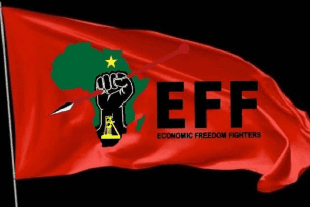 EFF Gauteng Takes Legal Action Against Operation Dudula Over Baby’s Death
