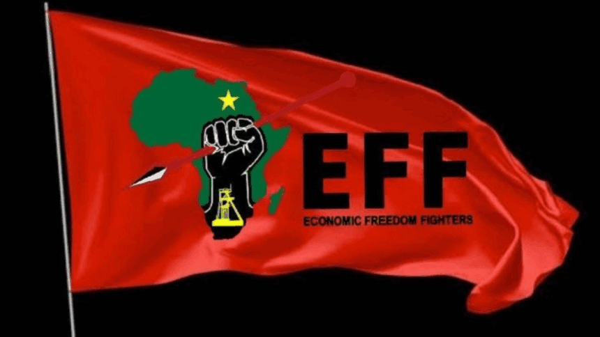 EFF Gauteng Takes Legal Action Against Operation Dudula Over Baby’s Death
