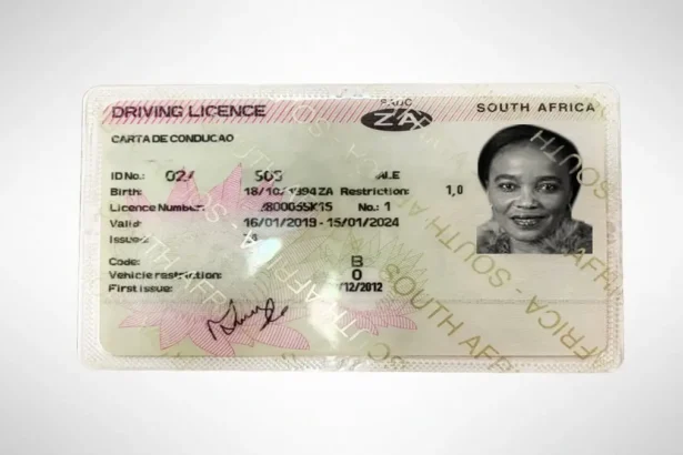 How to Apply for Your Driving Licence Card Renewal in South Africa