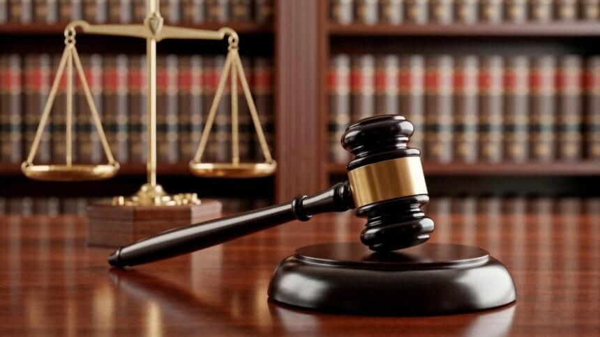 Mozambican Who Raped and Murdered 6-Year-Old in Soweto Gets Life Sentence
