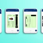 Parliament Pushes Transport Department to Accelerate Digital Driver’s Licence Rollout