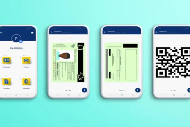 Parliament Pushes Transport Department to Accelerate Digital Driver’s Licence Rollout