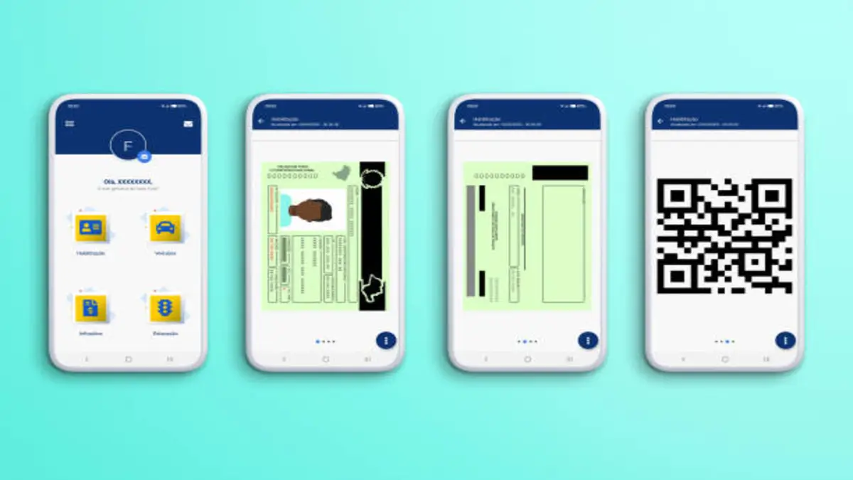 Parliament Pushes Transport Department to Accelerate Digital Driver’s Licence Rollout 59 Parliament Pushes Transport Department to Accelerate Digital Driver’s Licence Rollout