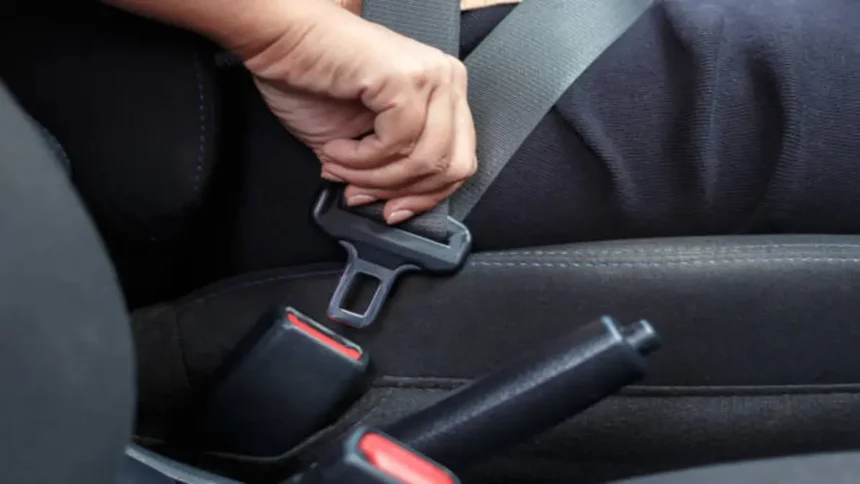SA Seatbelt Accessory Sparks Safety Concerns, Expert Warns