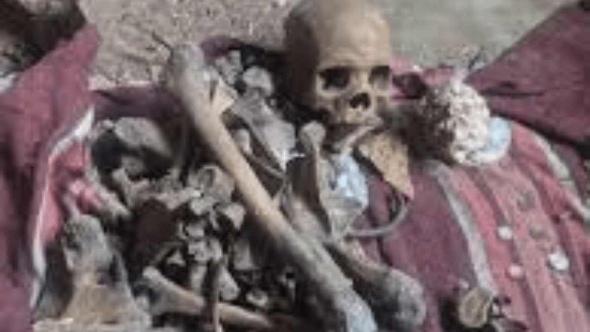 Alleged Sangoma Grave Robber Caught With Human Skull 51 Alleged Sangoma Grave Robber Caught With Human Skull