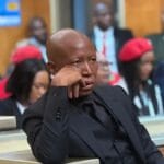 Julius Malema Stays in Dock as Court Reviews Gun Discharge Evidence