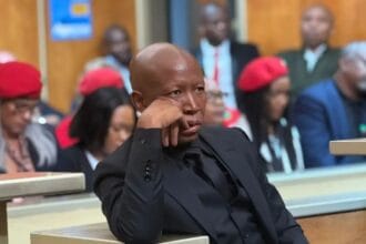 Julius Malema Stays in Dock as Court Reviews Gun Discharge Evidence