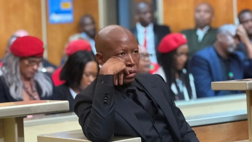 Julius Malema Stays in Dock as Court Reviews Gun Discharge Evidence