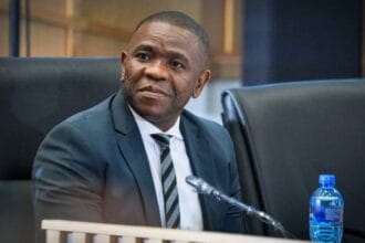 Mkhwanazi Accuses MPs of Interfering in SAPS Affairs