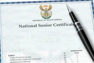 DStv Provides Matric Exam Help via WhatsApp and Live TV Channel