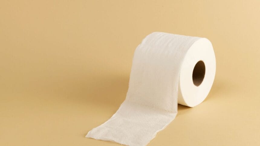 Farewell to Toilet Paper: Eco-Friendly Toilet Paper Alternative