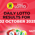 daily lotto results