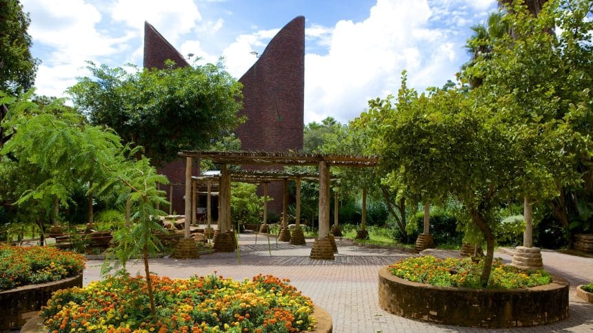 Top 5 Year-End Activities You Can Try Around Pretoria (2025)