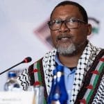 Mandla Mandela and Other Detained South Africans Set to Be Released Today from Israeli