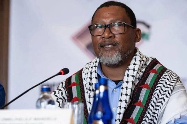 Mandla Mandela and Other Detained South Africans Set to Be Released Today from Israeli