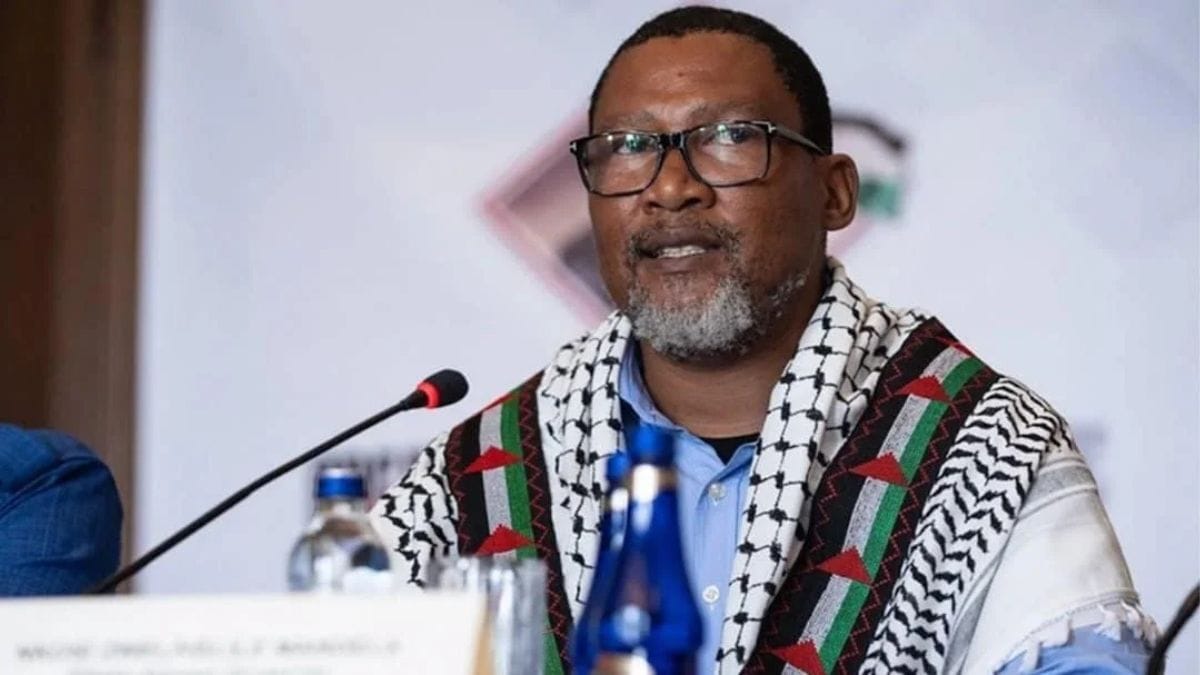 Mandla Mandela and Other Detained South Africans Set to Be Released Today from Israeli
