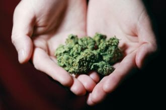 Boksburg News: Suspect Arrested, 200+ Bags of Dagga Seized