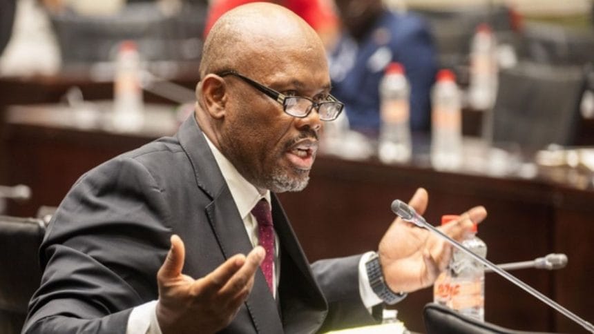 "Mkhwanazi Lied To South Africa!" Slams Sibiya In Ad Hoc Committee Hearing