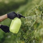 7 Hospitalised After Toxic Insecticide Leak at Pretoria Superspar