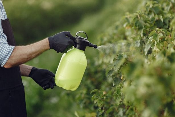 7 Hospitalised After Toxic Insecticide Leak at Pretoria Superspar
