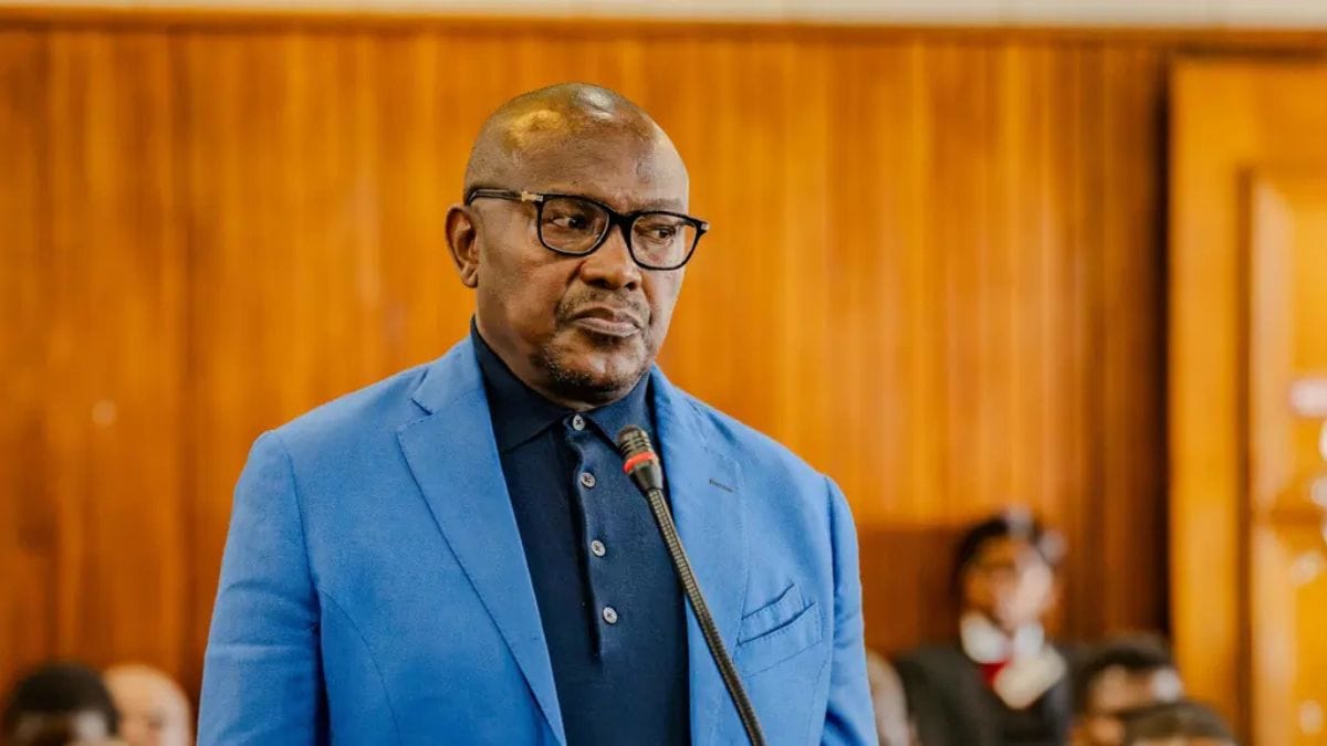 Witness A Reveals Details of Katiso Molefe's 2024 Arrest at Madlanga Commission