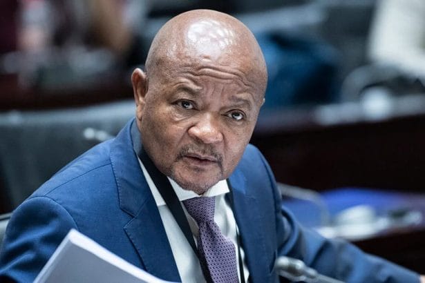 MPs Accuse Mchunu of Undermining Them: ‘Immediately means immediately’