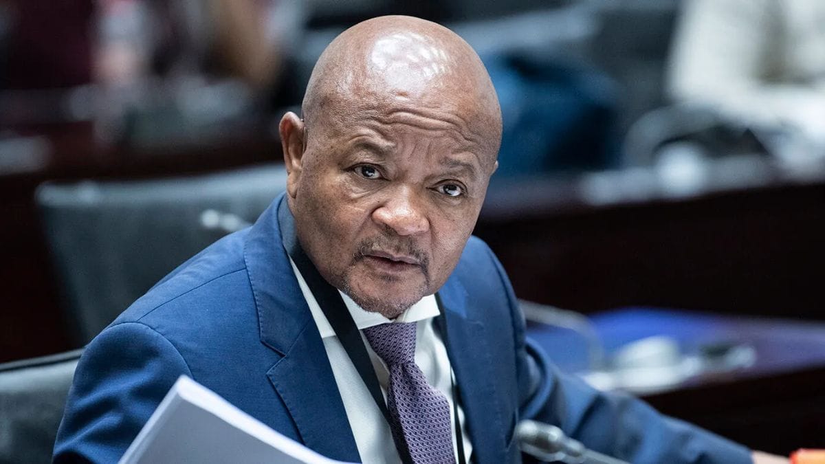 MPs Accuse Mchunu of Undermining Them: ‘Immediately means immediately’ 51 MPs Accuse Mchunu of Undermining Them: ‘Immediately means immediately’