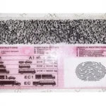 Expired Driving Licence Good News for South African Motorists