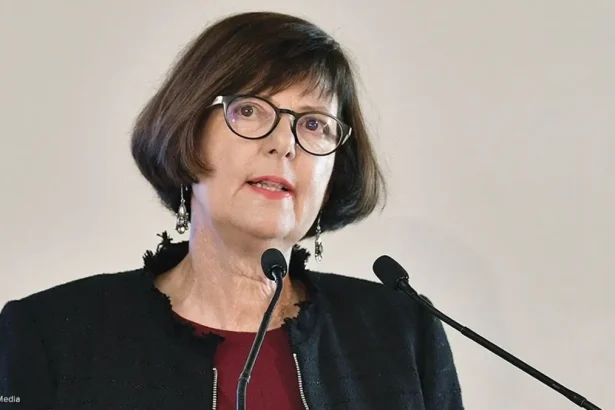 Transport Minister Accused of Misleading Public on Free Temporary Licences