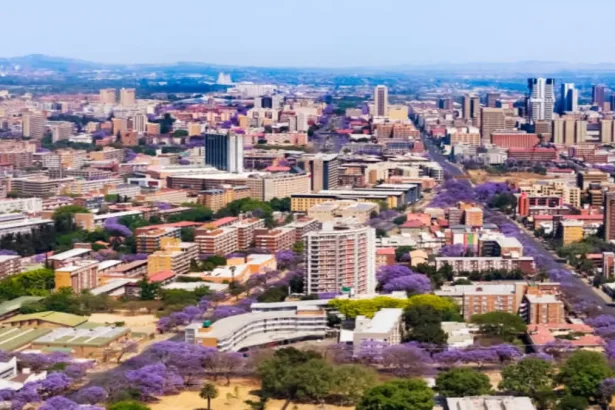 Tshwane Traffic Disruptions Expected as Soil of Africa Marches to Home Affairs