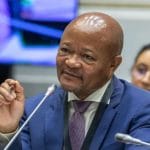 Senzo Mchunu Cites 'Dangerous Man' Matlala's Affidavit in His Defense