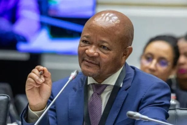 Senzo Mchunu Cites 'Dangerous Man' Matlala's Affidavit in His Defense