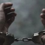 Overloaded Taxi with 26 Undocumented Malawians Intercepted in Gauteng