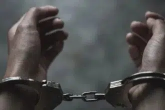 Overloaded Taxi with 26 Undocumented Malawians Intercepted in Gauteng