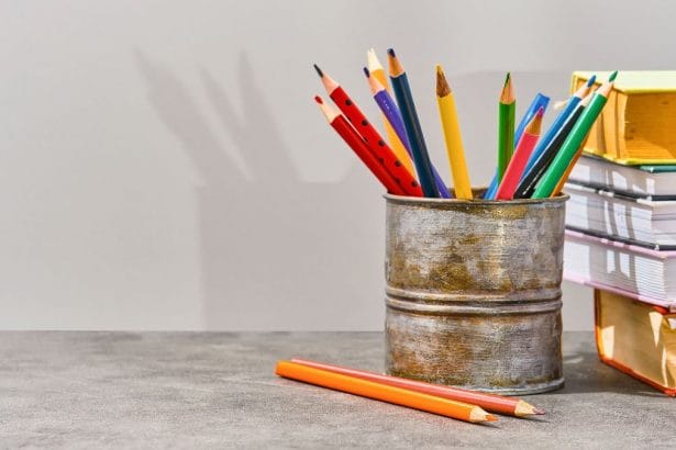 Gauteng Education Closes 71 Illegal Schools in the Province