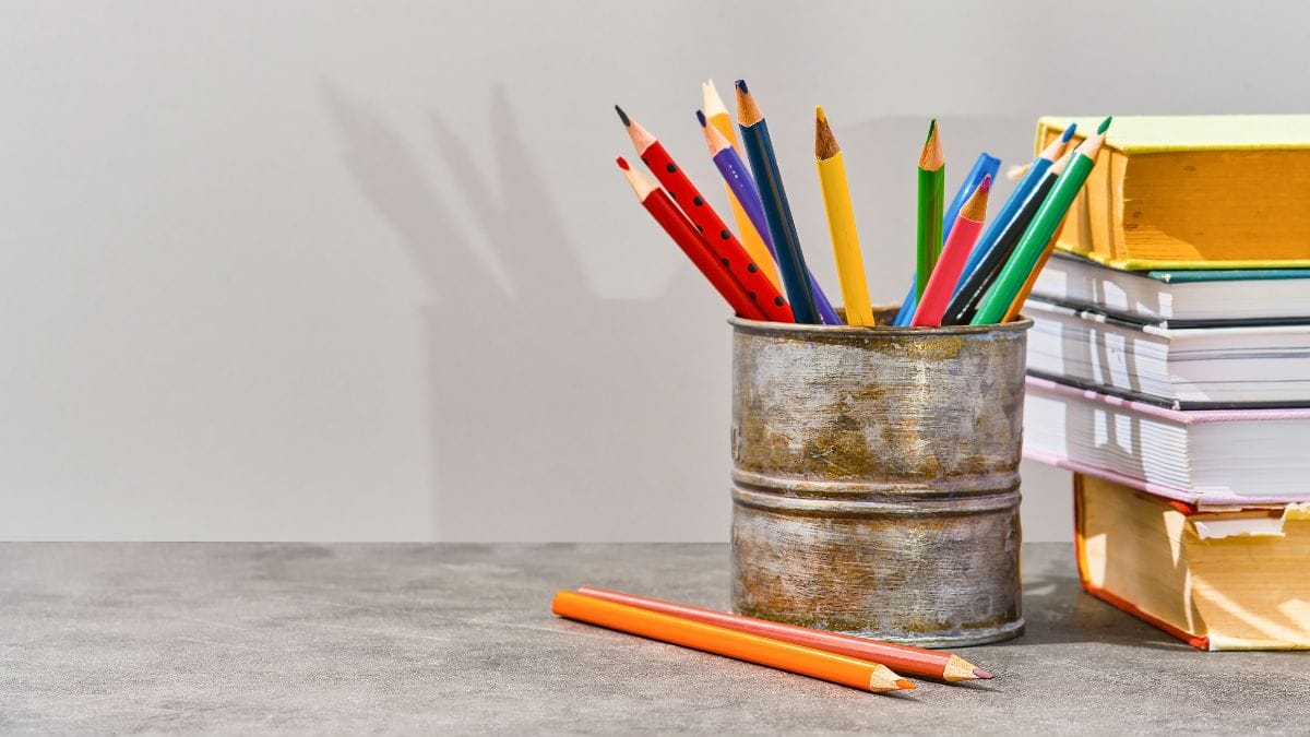 Gauteng Education Closes 71 Illegal Schools in the Province