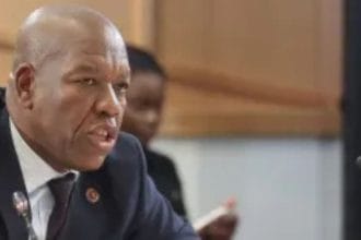 Hawks Boss Admits Interference in KT Molefe Arrest at Madlanga Commission