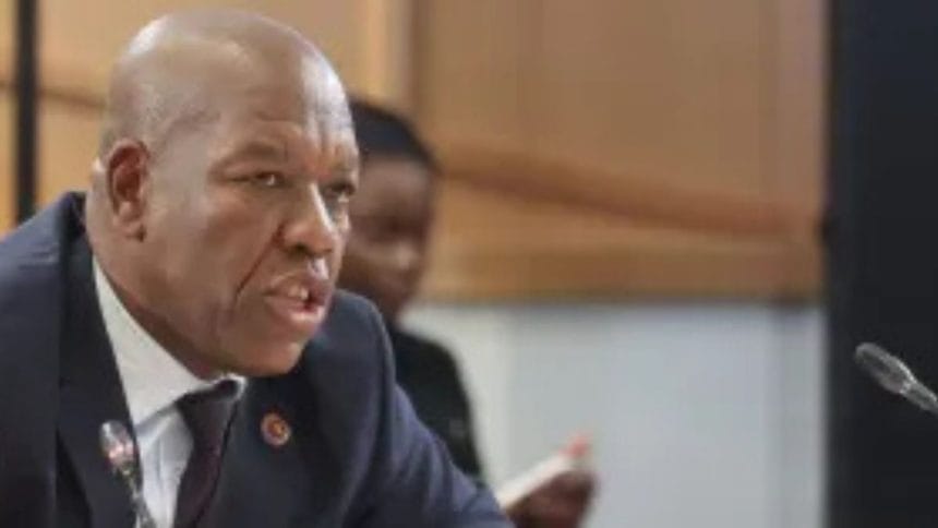 Hawks Boss Admits Interference in KT Molefe Arrest at Madlanga Commission