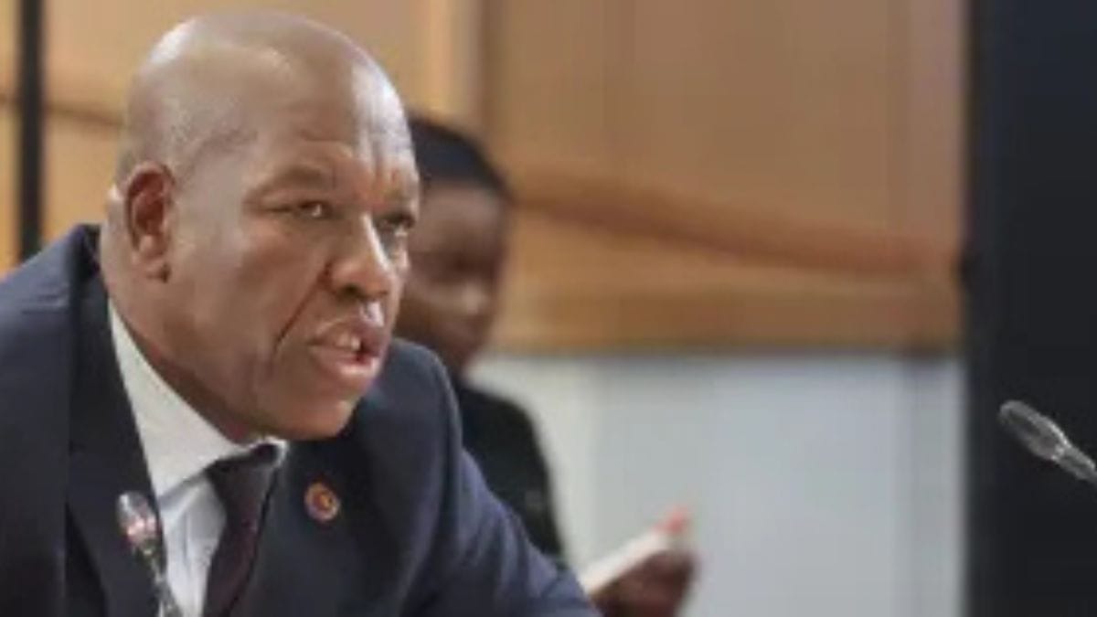 Hawks Boss Admits Interference in KT Molefe Arrest at Madlanga Commission