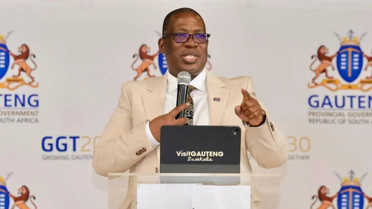 Gauteng Education Promises Parents All Students Will Be Placed At A School 51 Gauteng Education