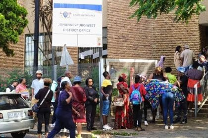 Gauteng School Placements