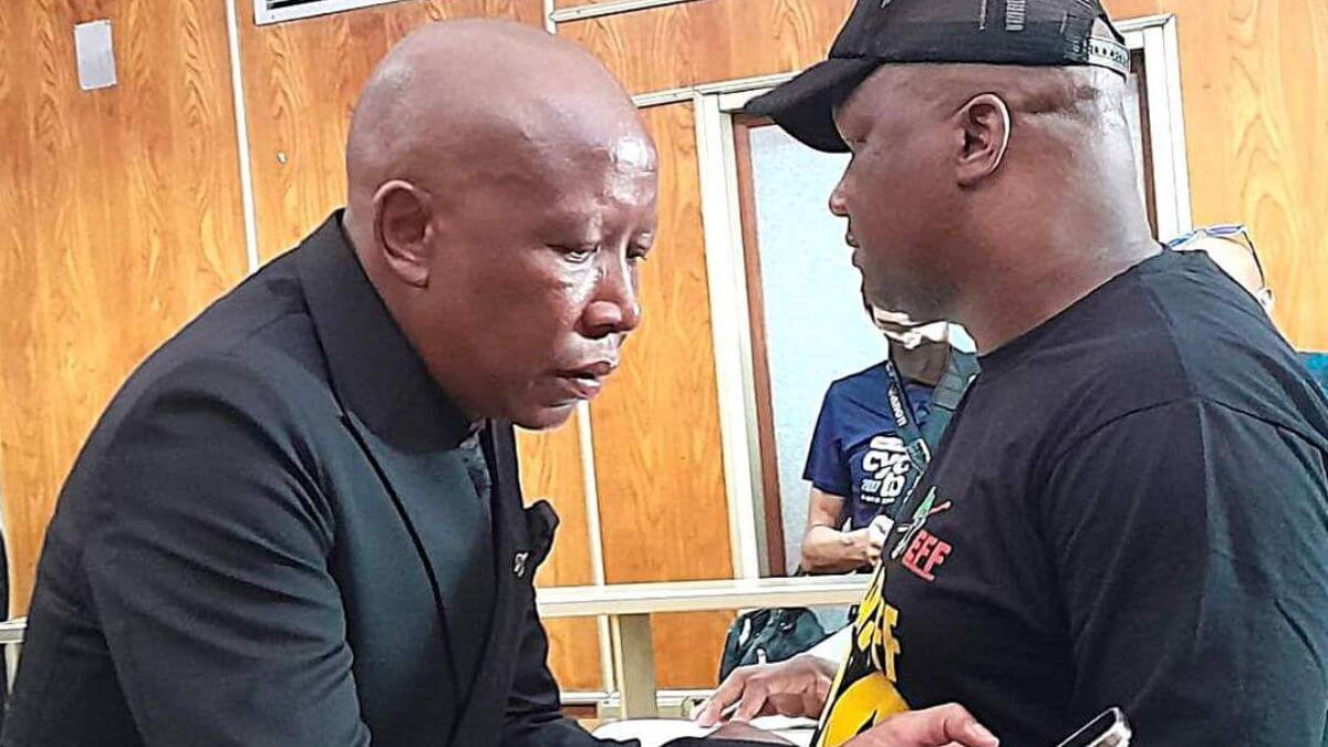 Malema deserves a suspended fine