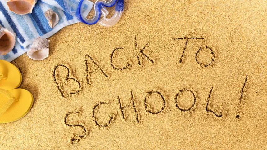 Public Holidays in South Africa 2026: When Do Schools Open & Close?