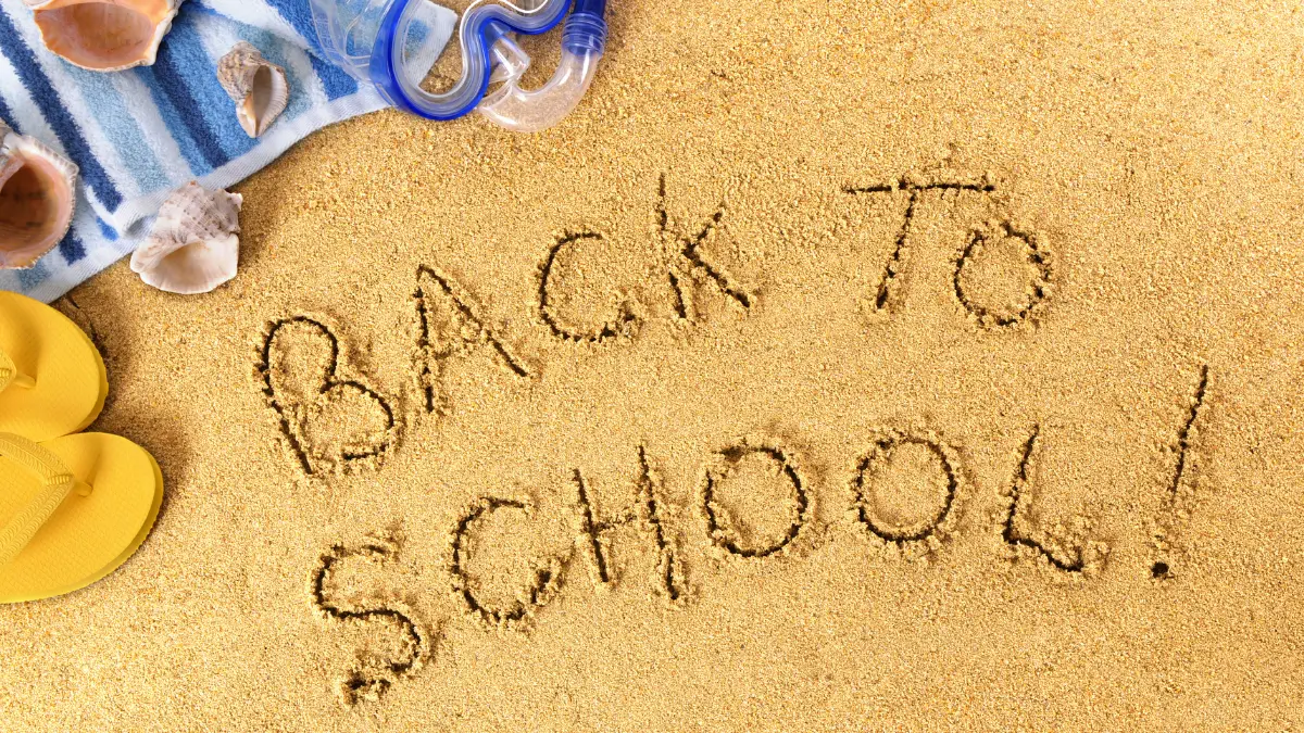 Public Holidays in South Africa 2026: When Do Schools Open & Close?